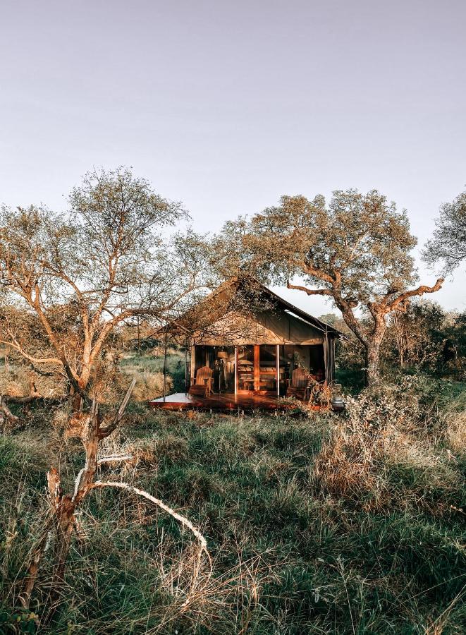 Honeyguide Tented Safari Camp - Khoka Moya Manyeleti Game Reserve Exterior foto