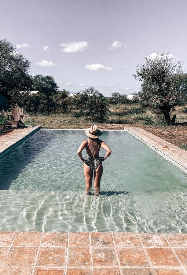 Honeyguide Tented Safari Camp - Khoka Moya Manyeleti Game Reserve Exterior foto