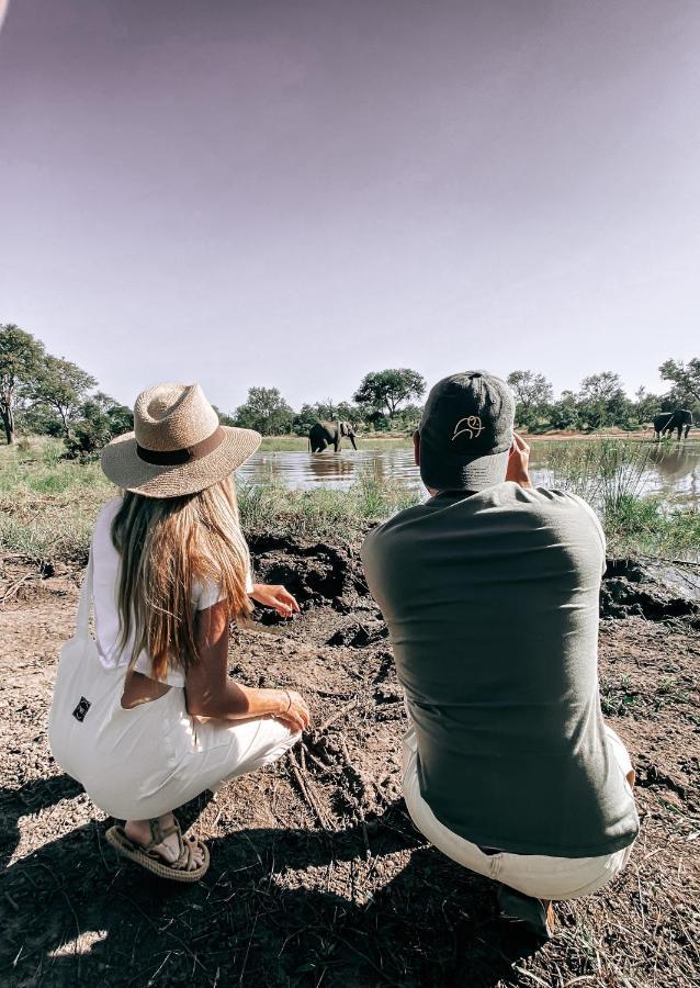 Honeyguide Tented Safari Camp - Khoka Moya Manyeleti Game Reserve Exterior foto