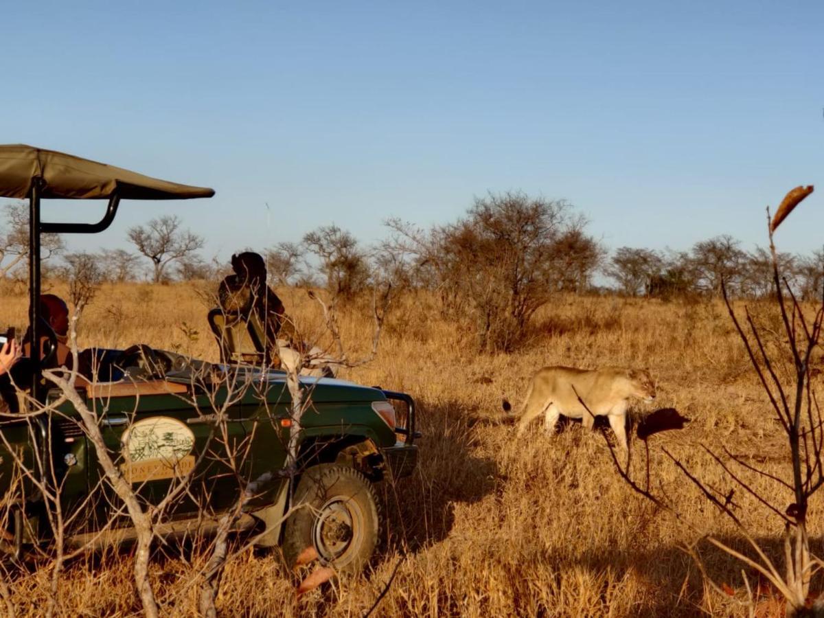 Honeyguide Tented Safari Camp - Khoka Moya Manyeleti Game Reserve Exterior foto